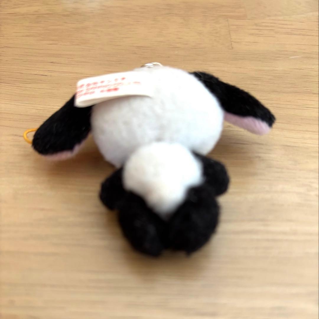 シュガーバニーズ　希少ストラップセット