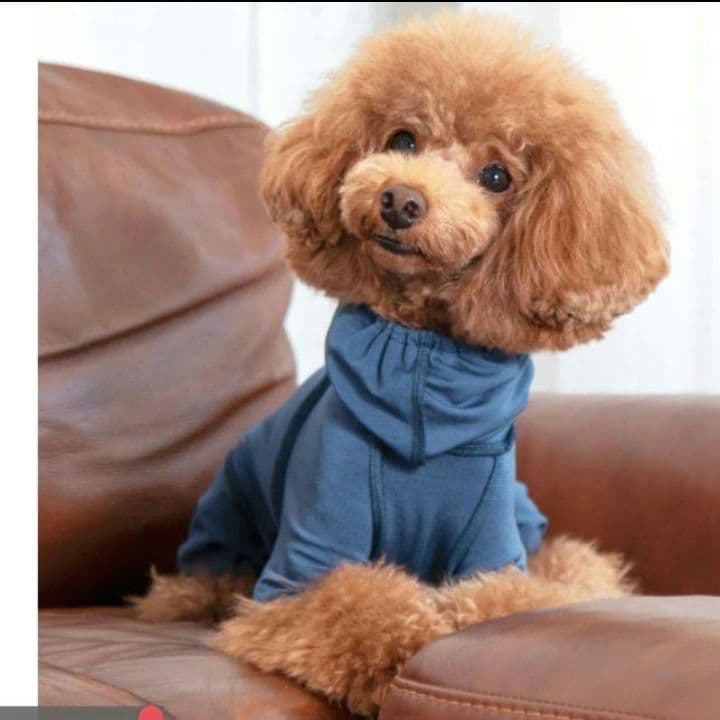 ALPHAICON アルファアイコン TAKEFU タケフドッグウェア ML - メルカリ