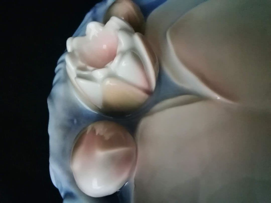 逸品　蓮の花プレート　B&G　ビング オー グレンダール　デンマーク　釉裏彩