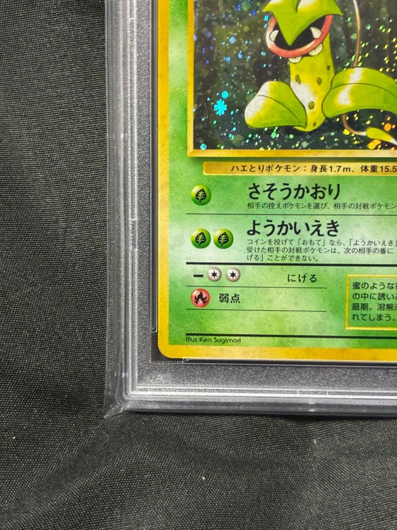 世界329枚 PSA10 ウツボット 旧裏 1996 71 35