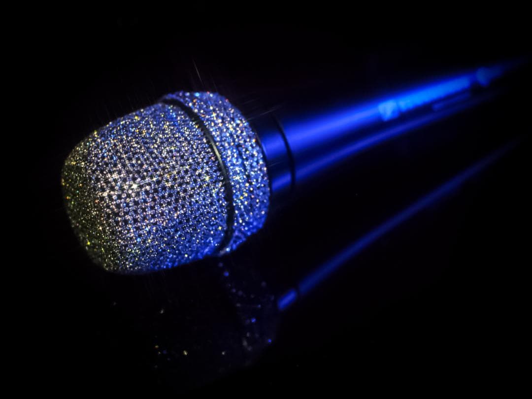 X'MAS SALE SENNHEISER e945 スワロフスキージルコニア