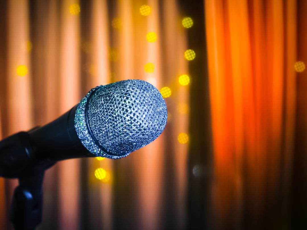 X'MAS SALE SENNHEISER e945 スワロフスキージルコニア