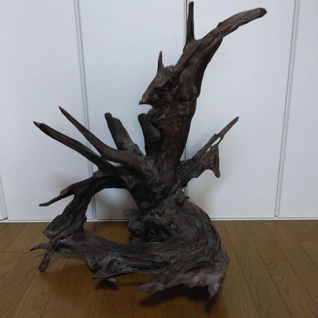 1379 木の根 切株 竜 龍 Dragon 1379 木の根 切株 竜 龍 Dragon