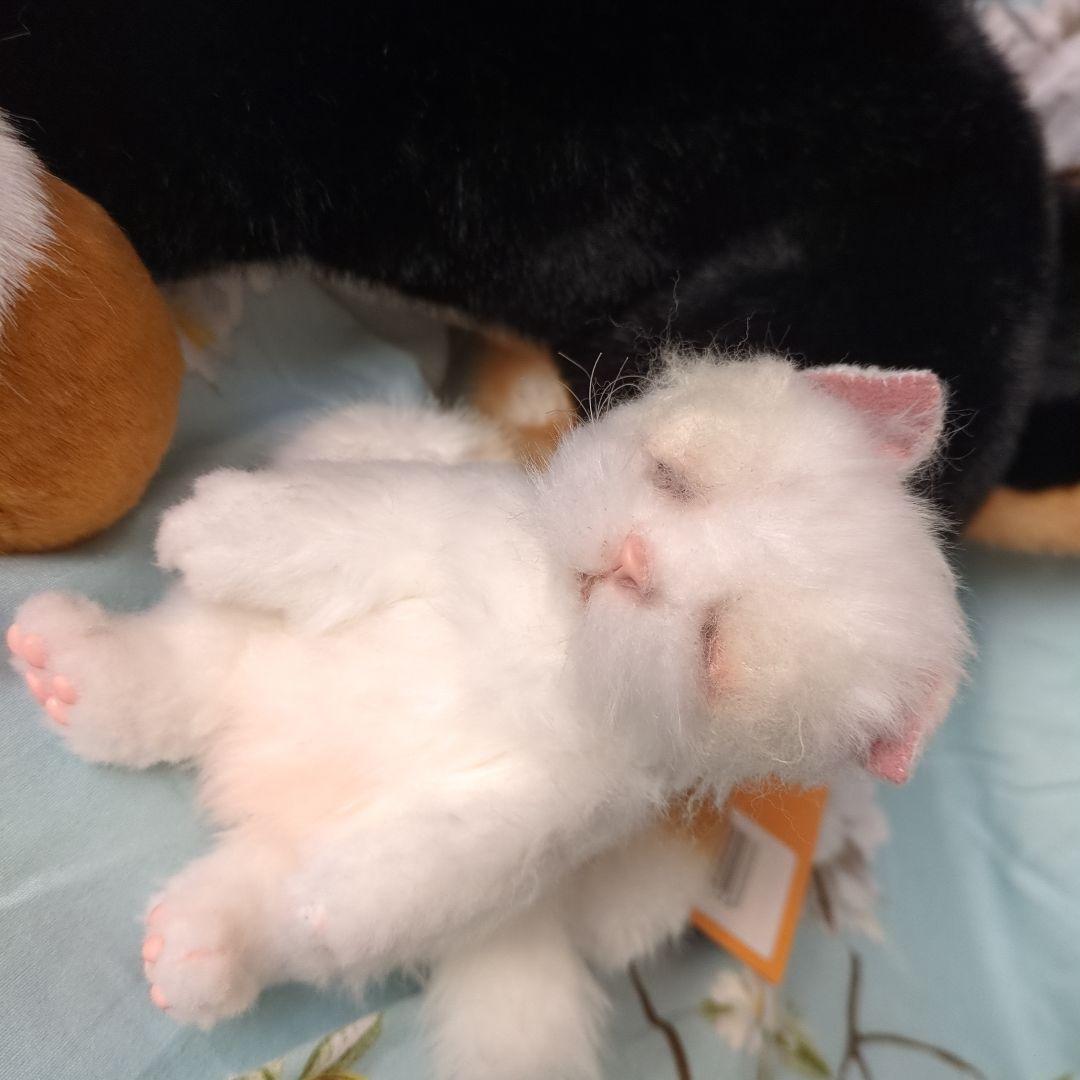 黒柴 犬 猫 テディベア モルモット ぬいぐるみ アートドール