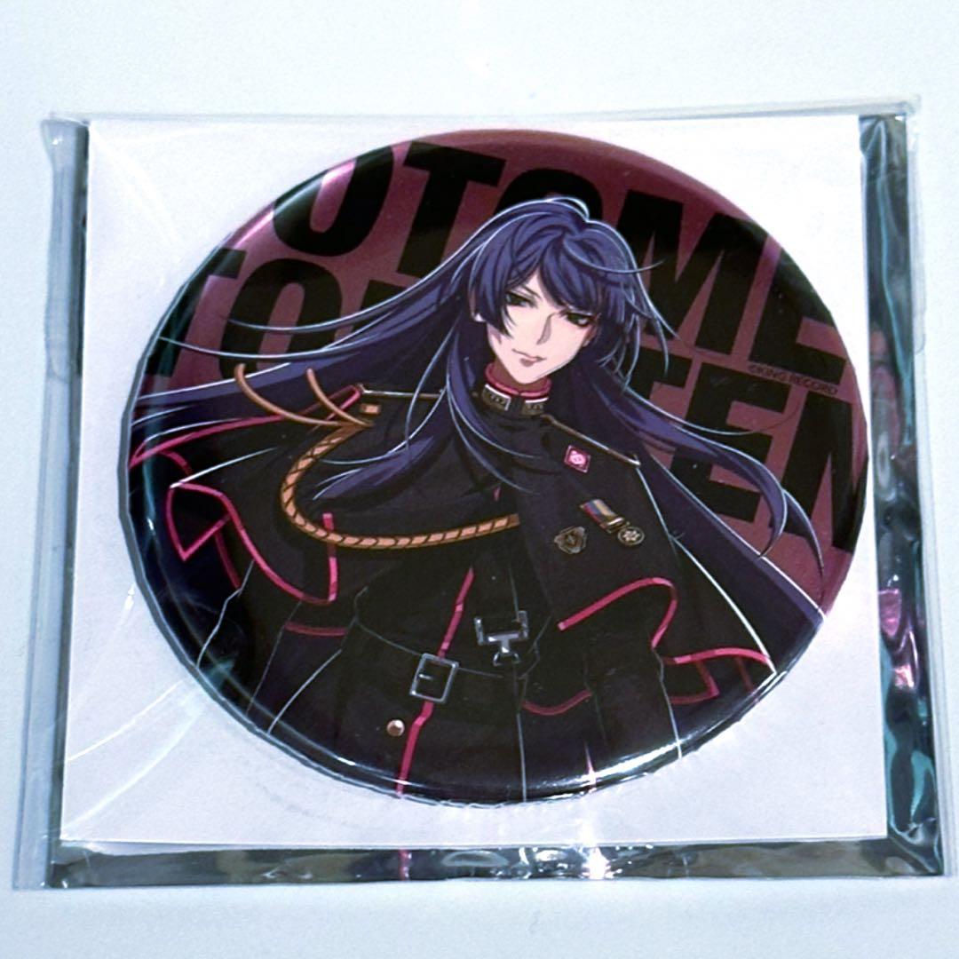 ヒプノシスマイク　ヒプマイ　ファンミ　缶バッジ　乙統女　引き　12点