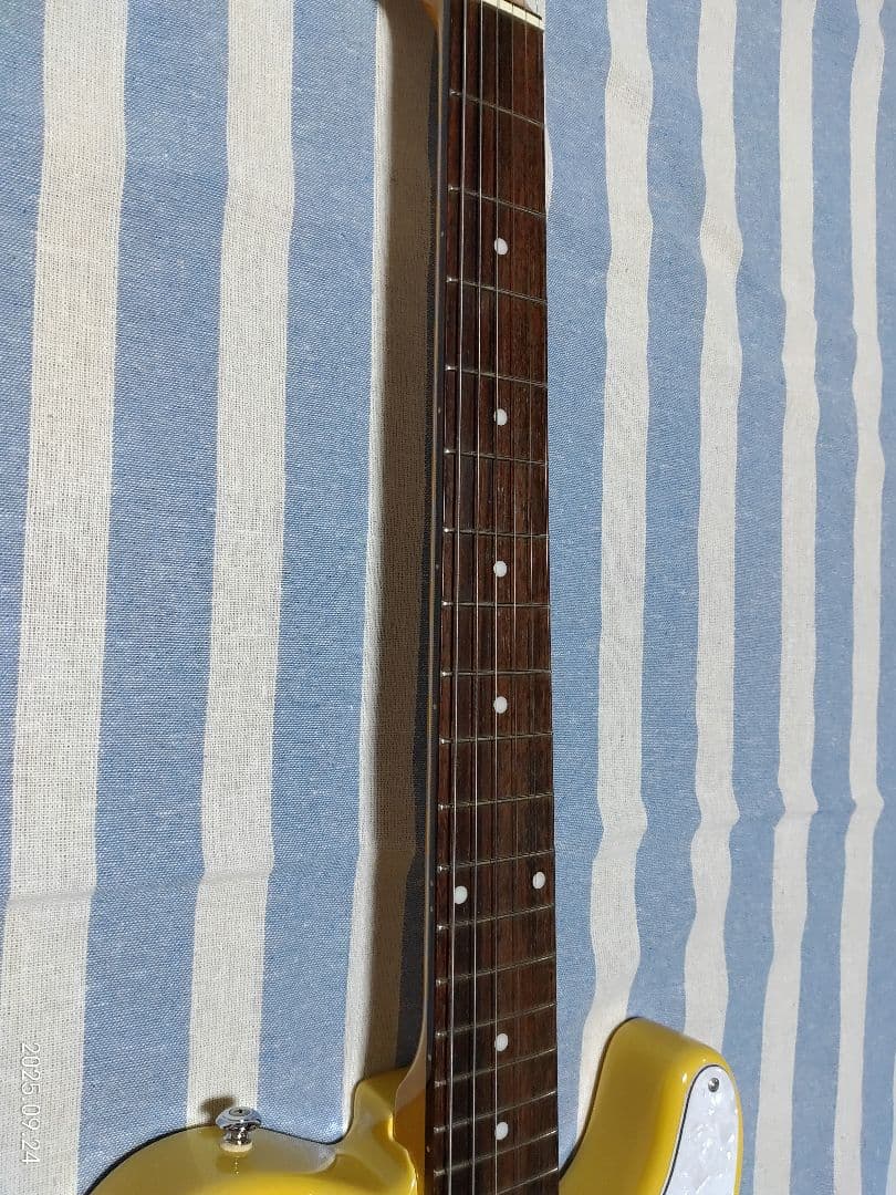 GrassRoots by ESPのテレキャスタイプG-TE-50R使用感少美品