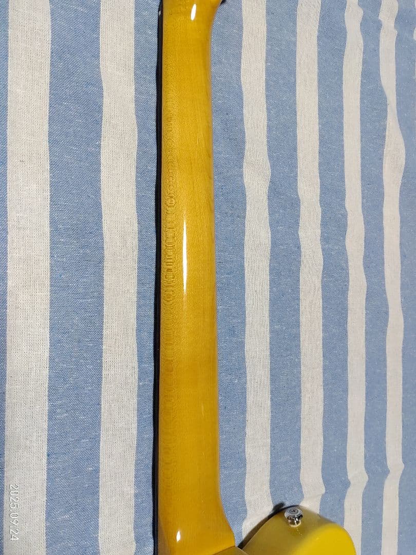 GrassRoots by ESPのテレキャスタイプG-TE-50R使用感少美品