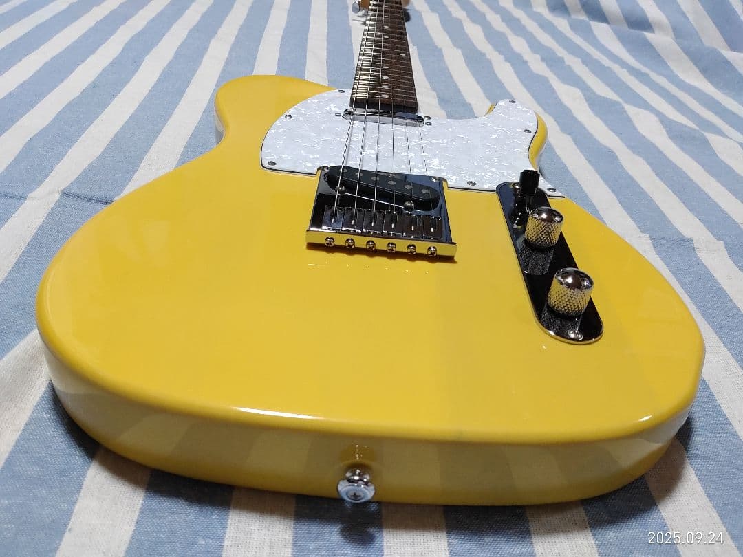 GrassRoots by ESPのテレキャスタイプG-TE-50R使用感少美品