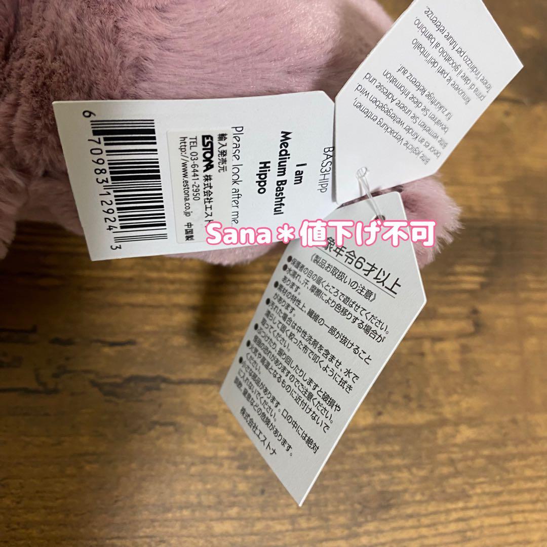新品　 Bashful Hippo Mサイズ　BAS3HIPP