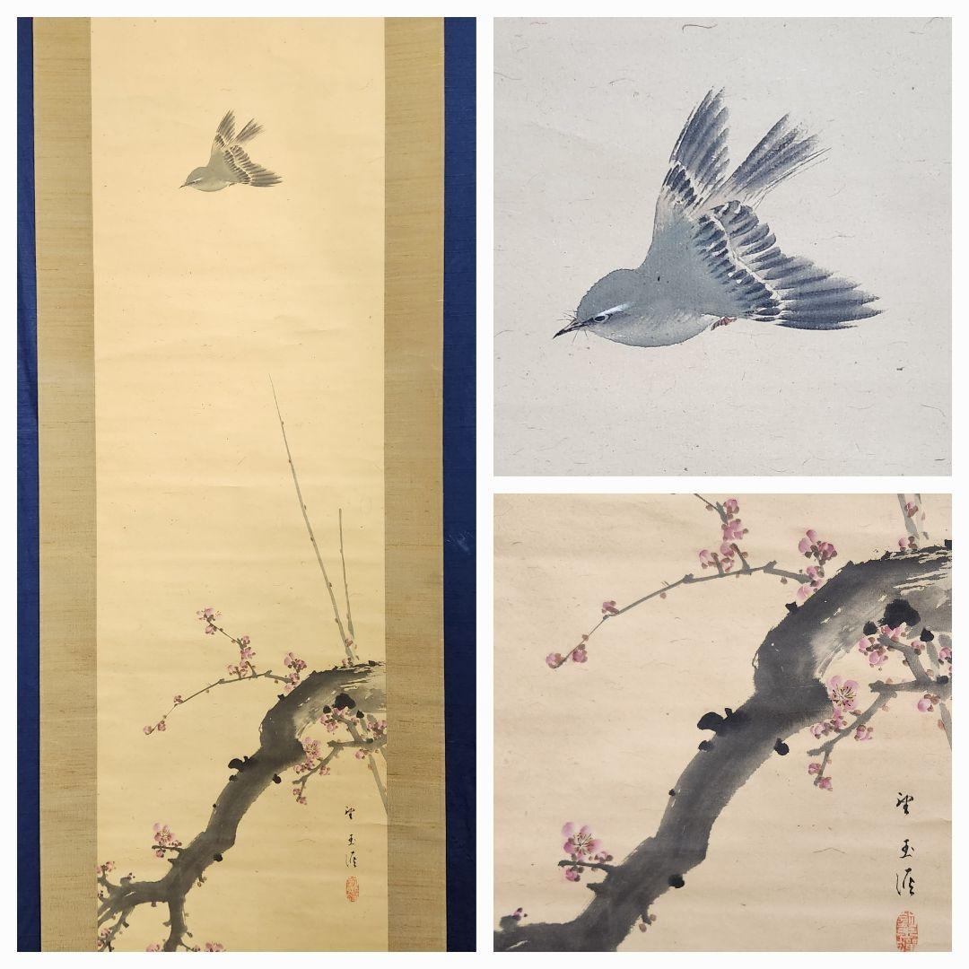 【紅梅に鴬図】望月玉渓 2616 ウグイス 望月玉成識箱　掛け軸　肉筆 紅梅に鴬図】望月玉渓 2616 ウグイス 望月玉成識箱 掛け軸 肉筆 紅梅に