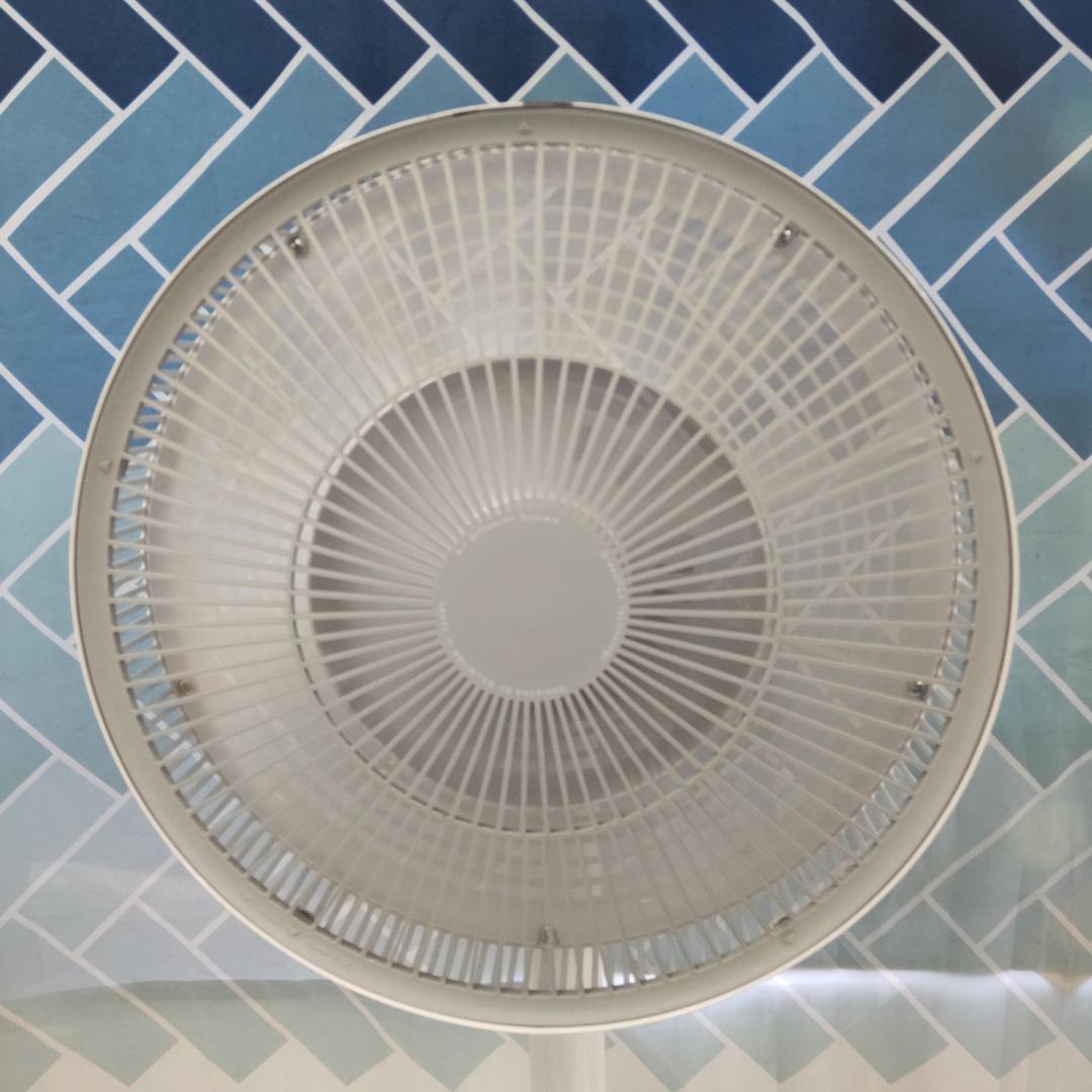 バルミューダ　Green Fan　扇風機　EGF-1400-WG　ホワイト