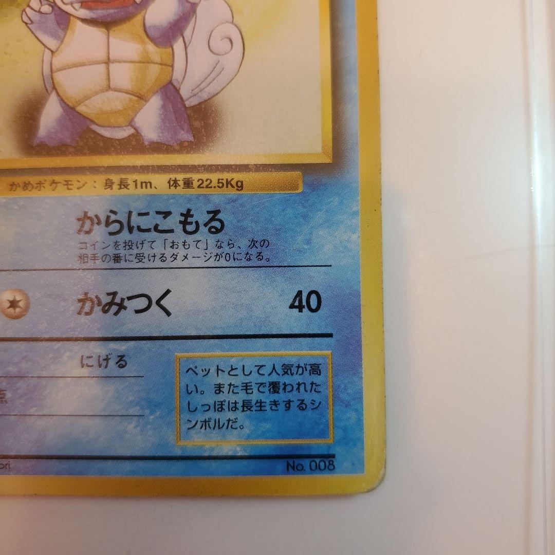 旧裏　ゼニガメ　カメール　カメックス 3枚セット　 No.009