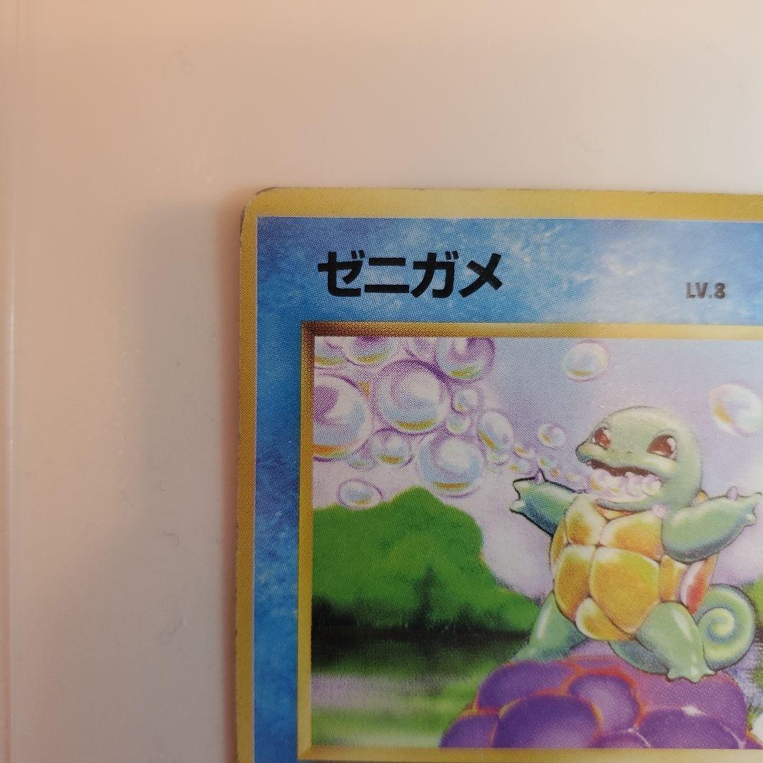 旧裏　ゼニガメ　カメール　カメックス 3枚セット　 No.009