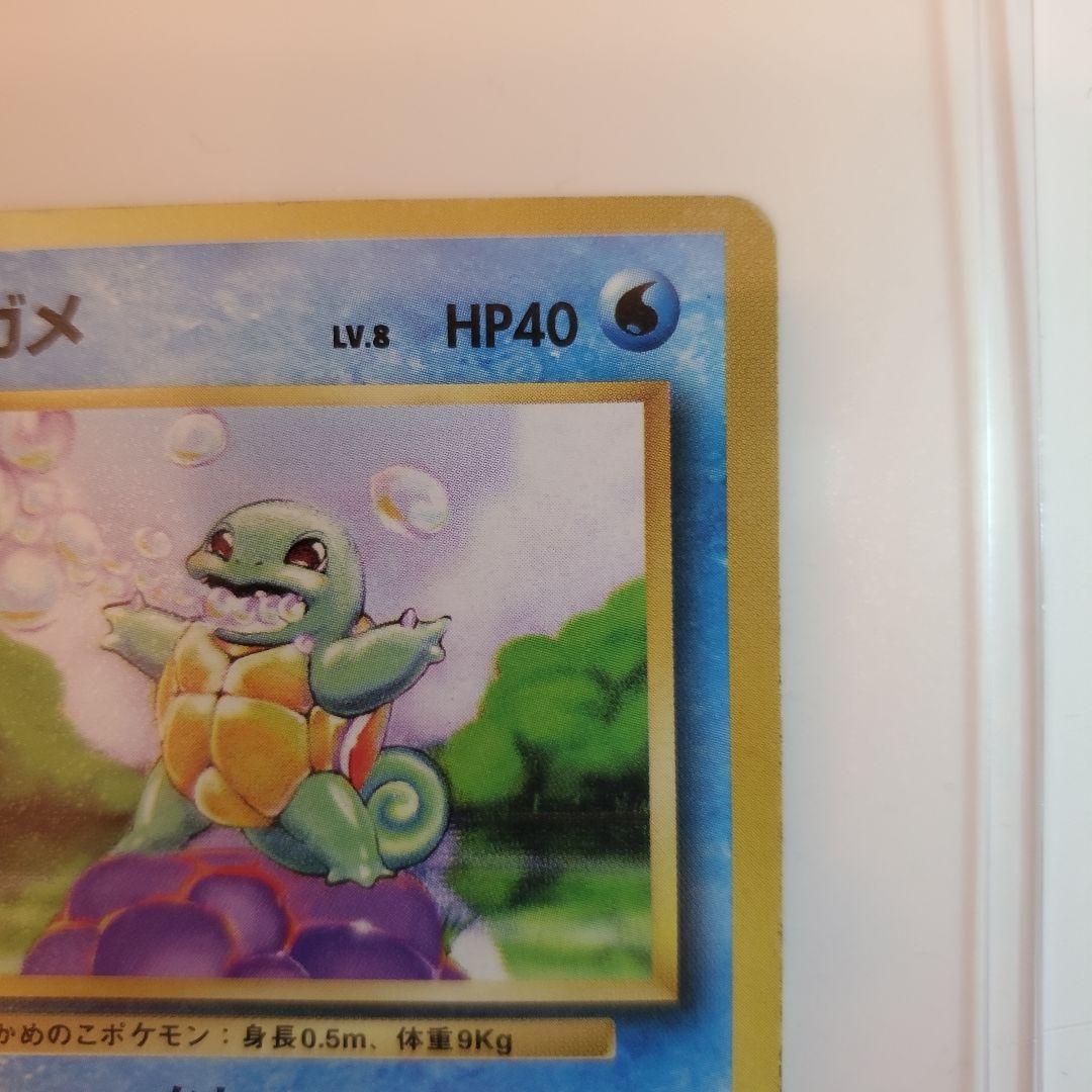 旧裏　ゼニガメ　カメール　カメックス 3枚セット　 No.009