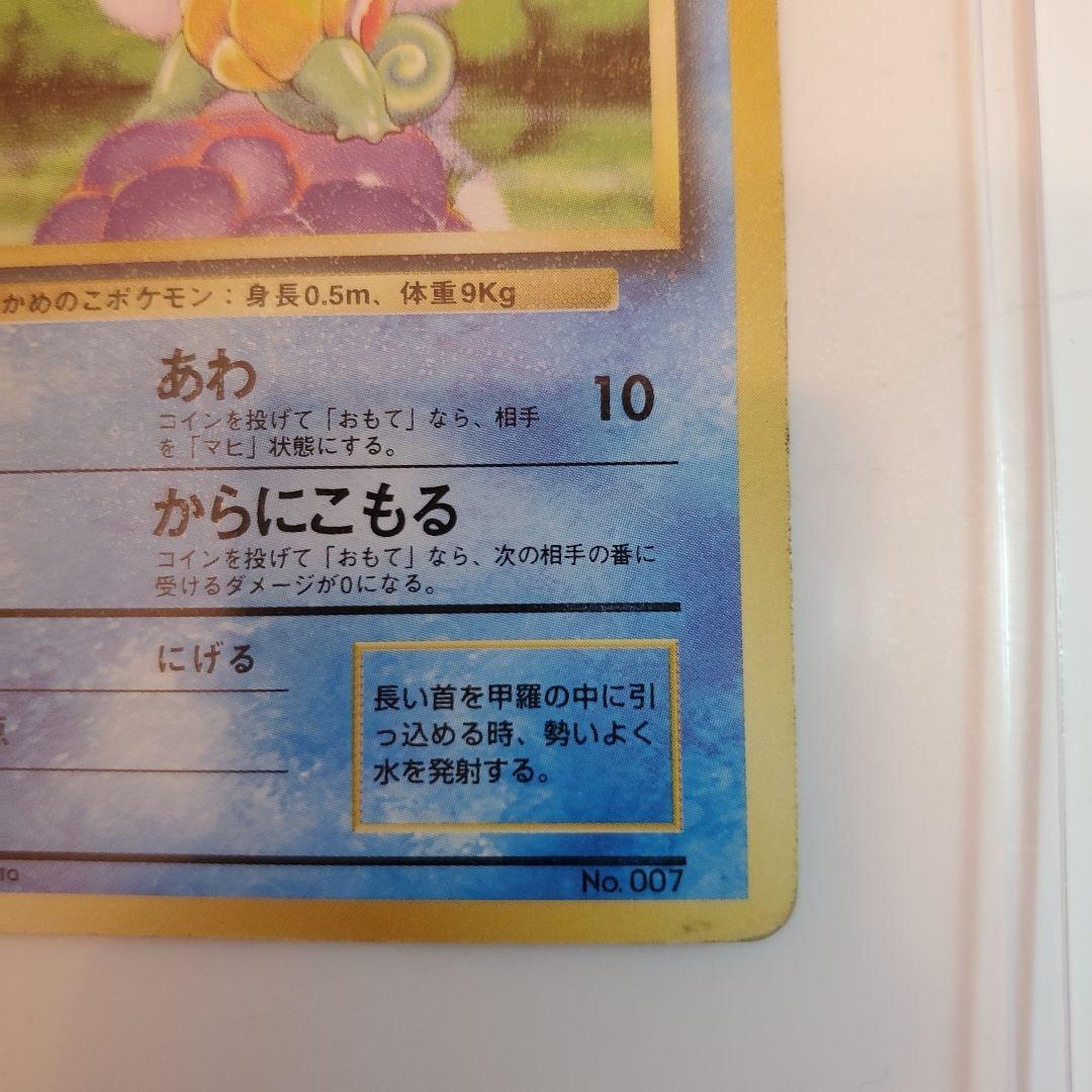 旧裏　ゼニガメ　カメール　カメックス 3枚セット　 No.009