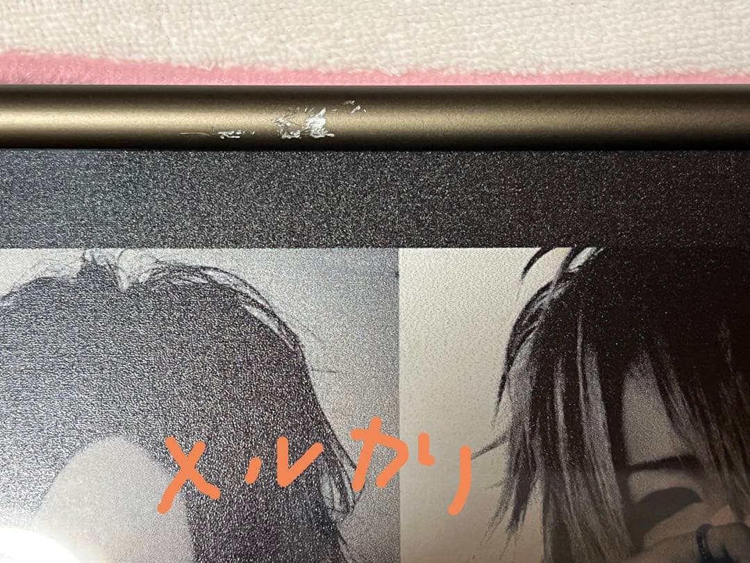 the GazettE DIM発売時当選品パネル&サイン入りポートレート非売品