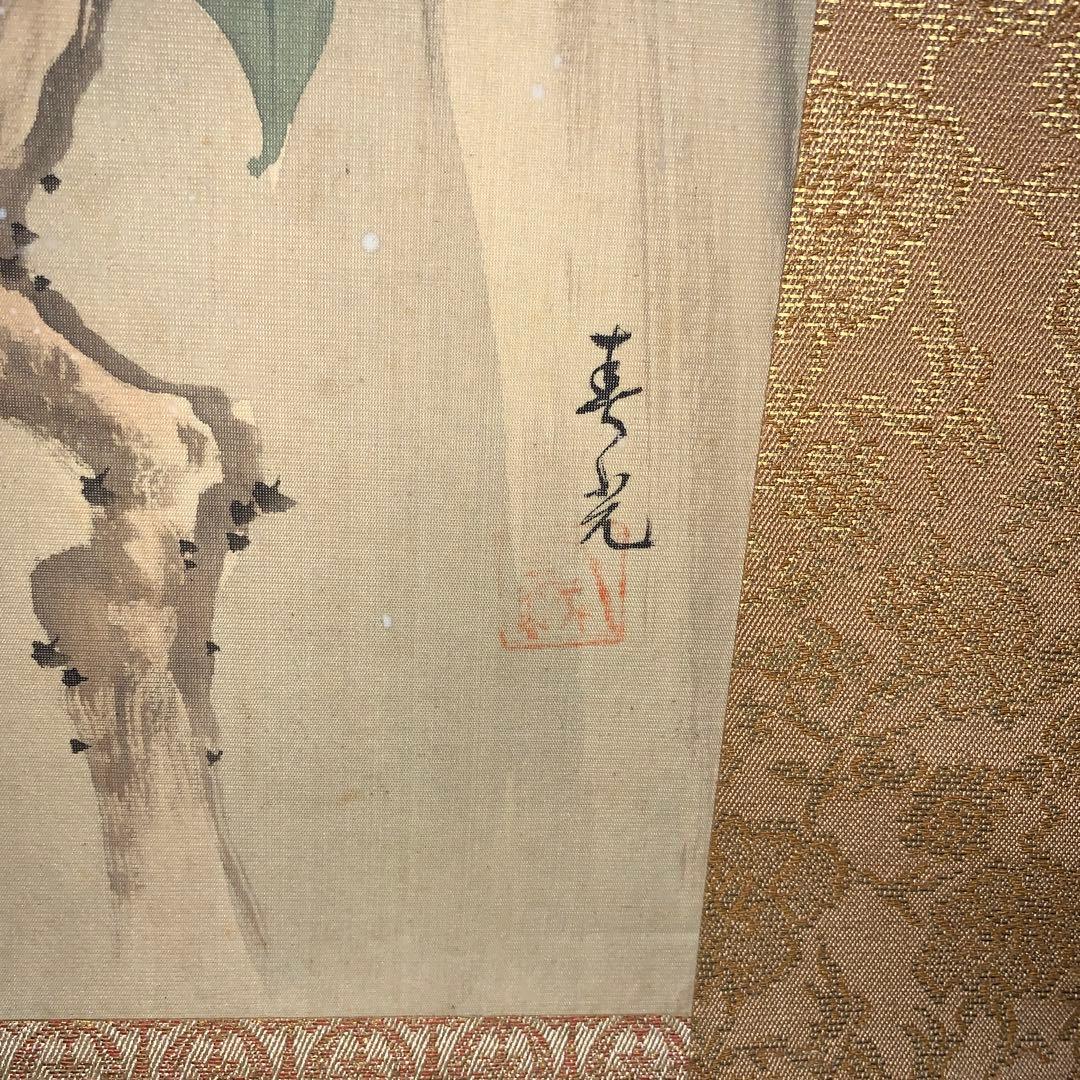 掛け軸 寒椿と雀