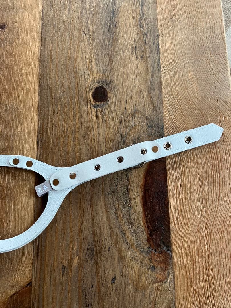 たま様専用 バディベルトムーンウォーク4.5未使用 BUDDY BELTS