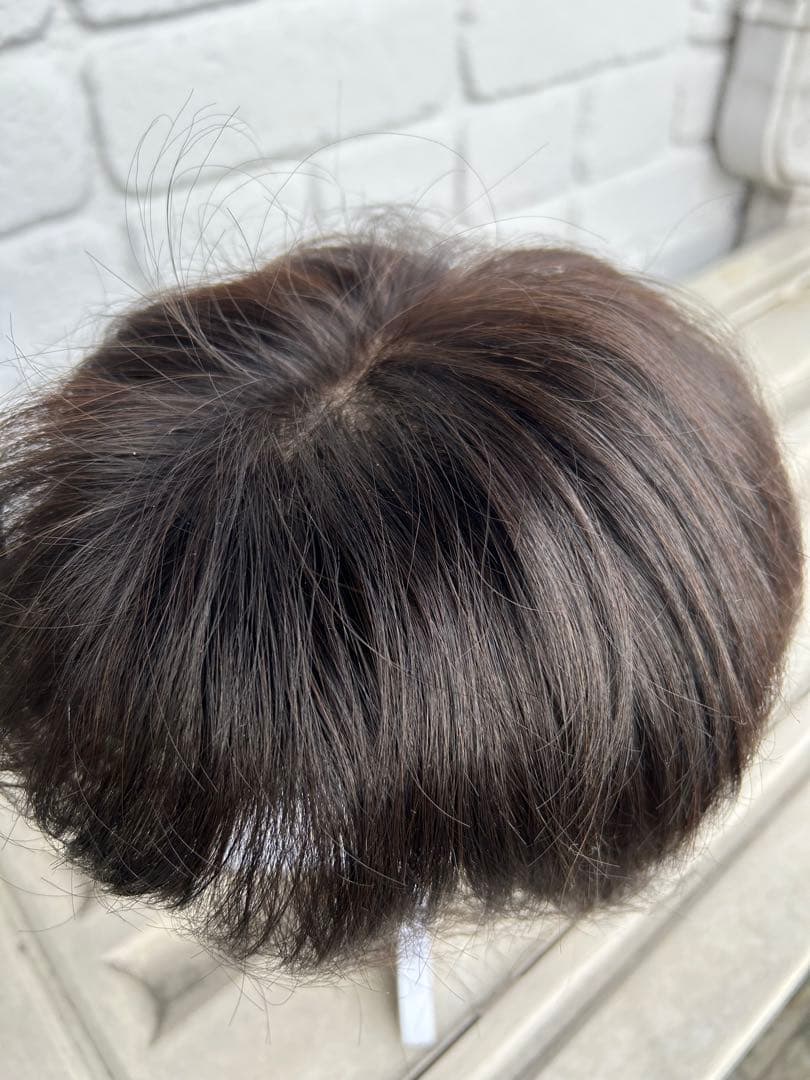 アートネーチャーフルウイング