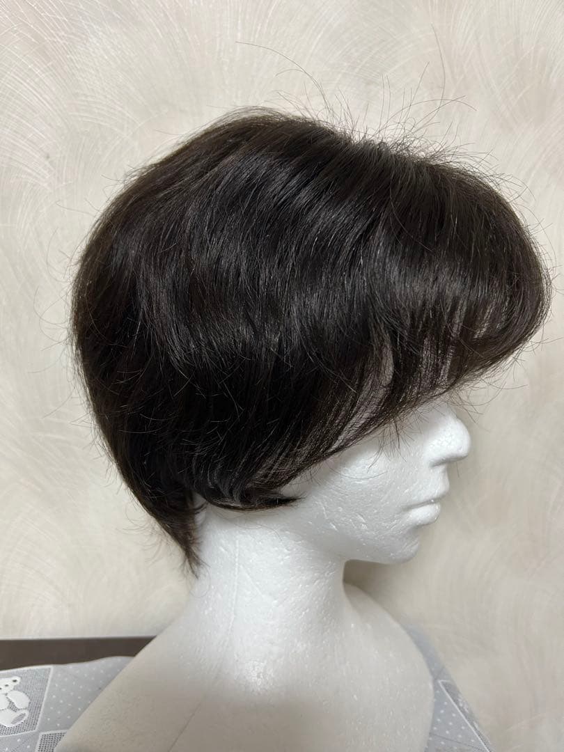 アートネーチャーフルウイング