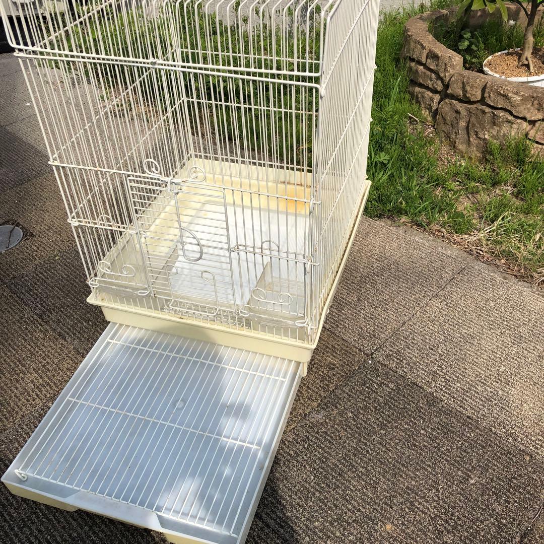 未使用】イタリア製 デザインバードケージ（鳥かご）CAMILLA Amazon