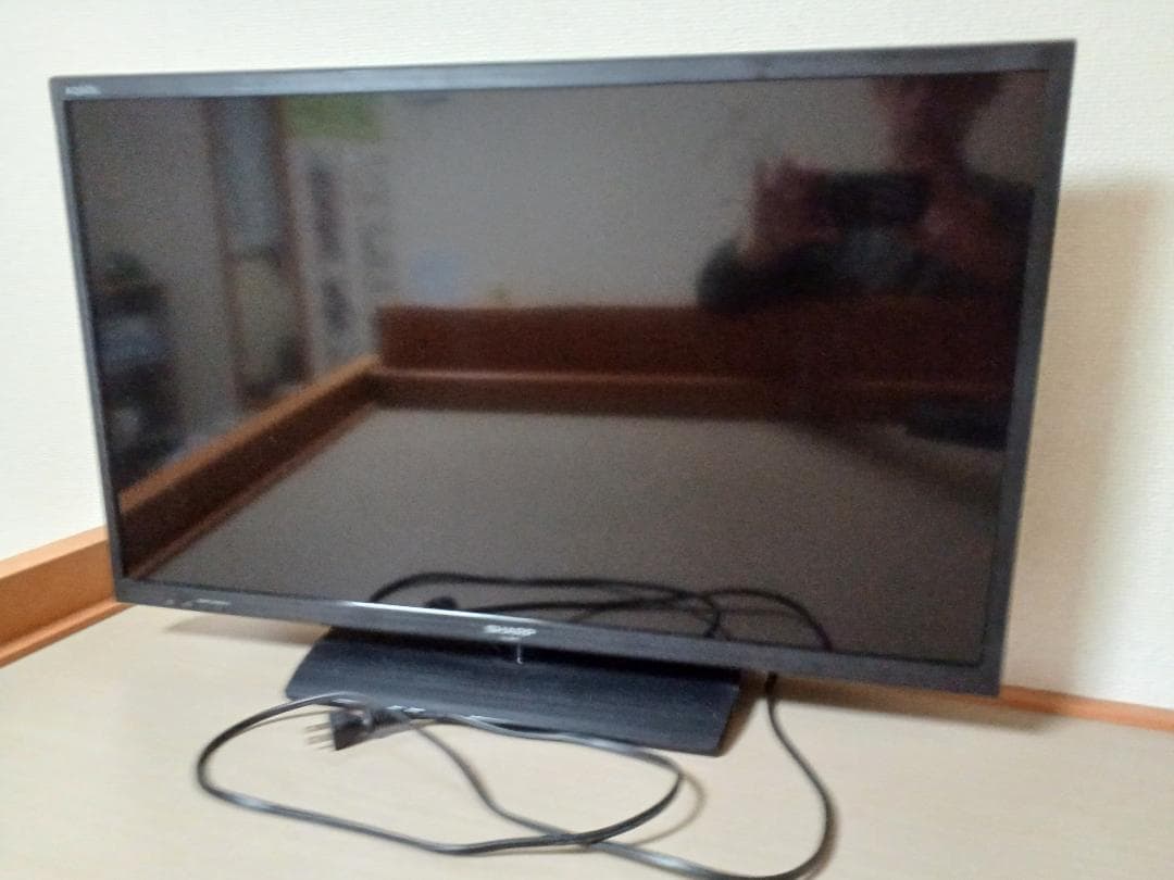 塚田國次油絵F4「柿」真作