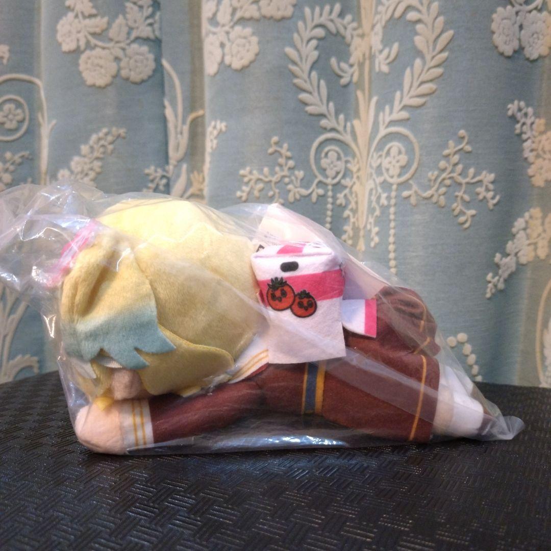 オンクレ限定 大沢瑠璃乃 寝そべり ぬいぐるみ