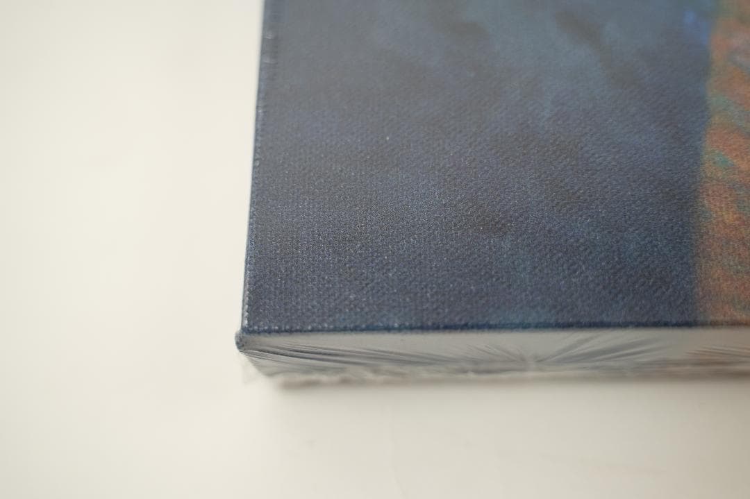 【新品・美品・希少】ゴッホピカチュウ　キャンバス　ポケモンゴッホ展