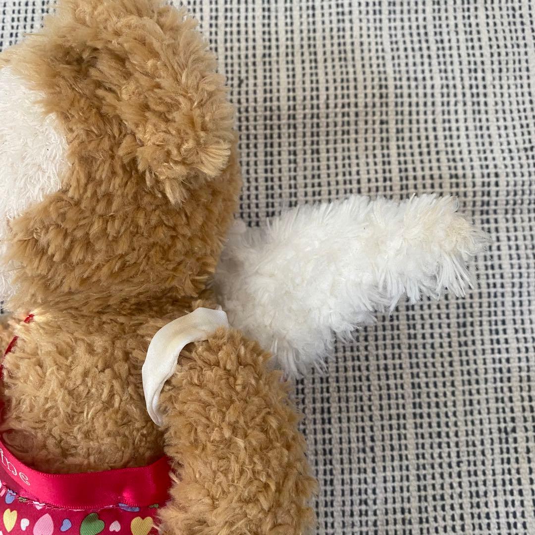 USA Walt Disney World 2011 ダッフィー バレンタイン