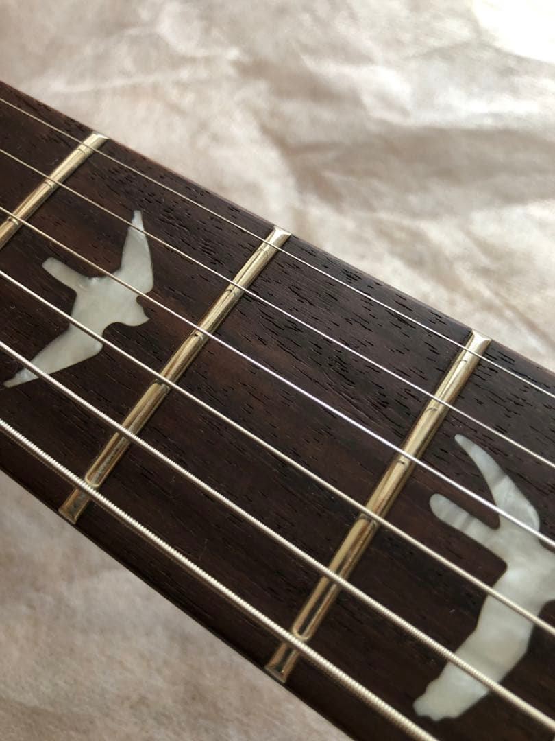 パパピピ様 専用【希少】PRS SE 245 Soapbar P-90 タイプ - メルカリ