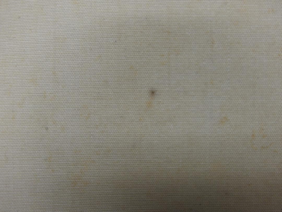 松園　時雨　共箱　MA793