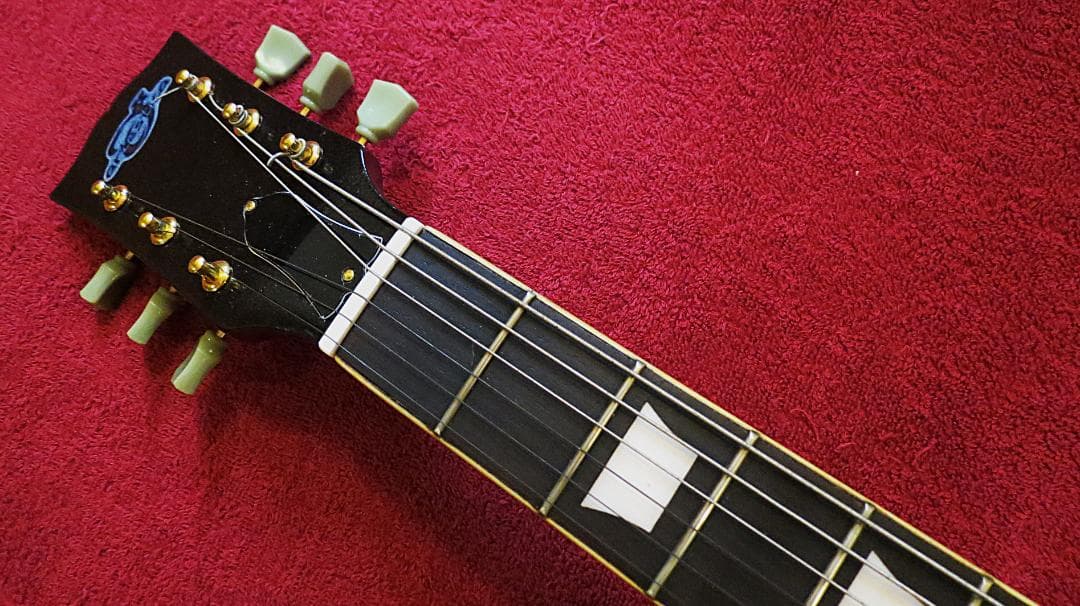 LPLH 豪華仕様ラッカー塗装コイルタップBL アルニコV レフティ 左