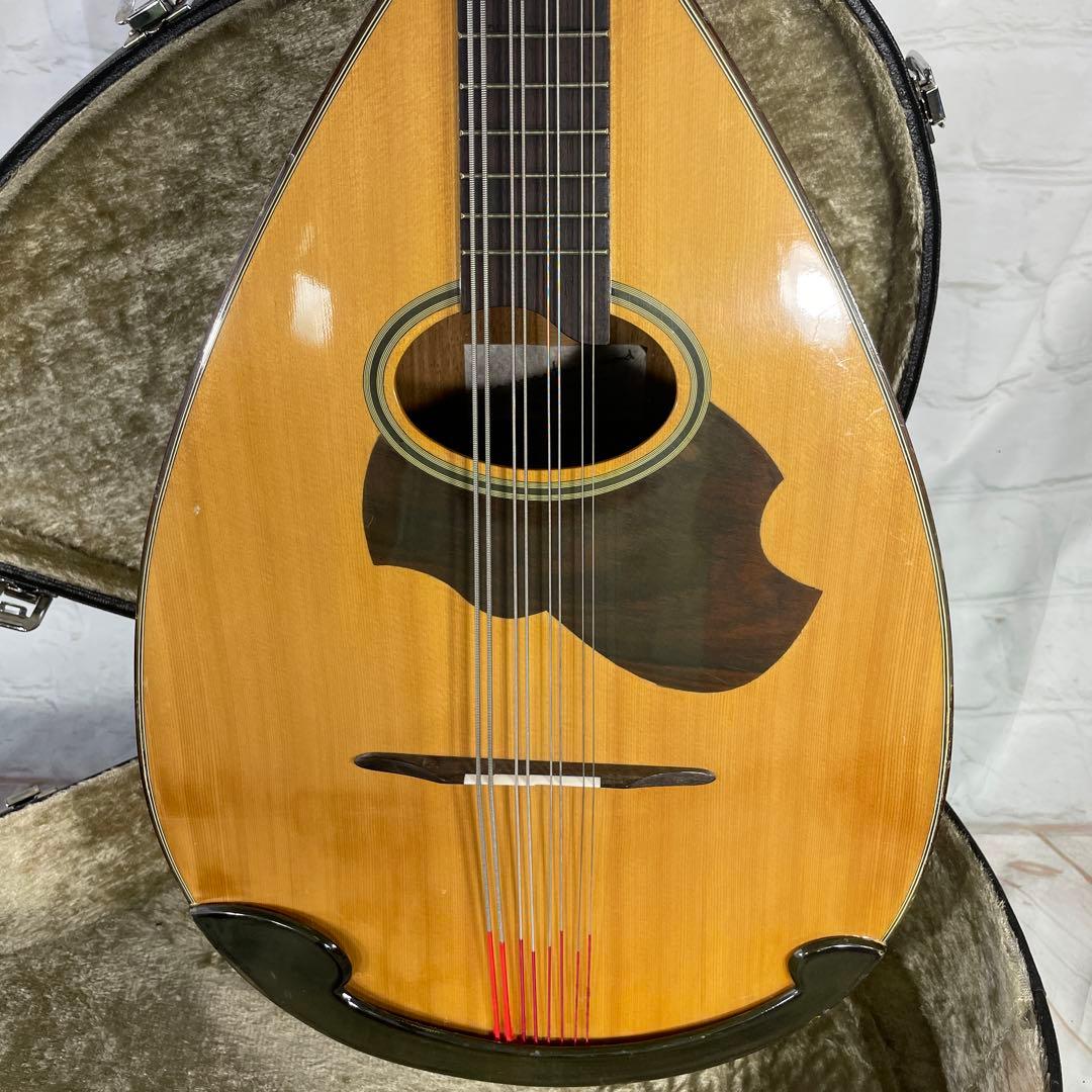 SUZUKI MANDOCELLO スズキ マンドチェロ MC-836