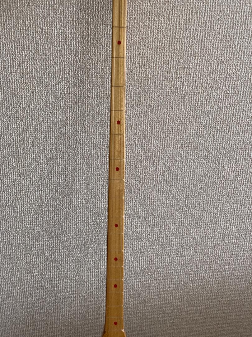 カザフスタン伝統弦楽器 ドンブラ / 民族楽器 / ケース付 / 中古美品