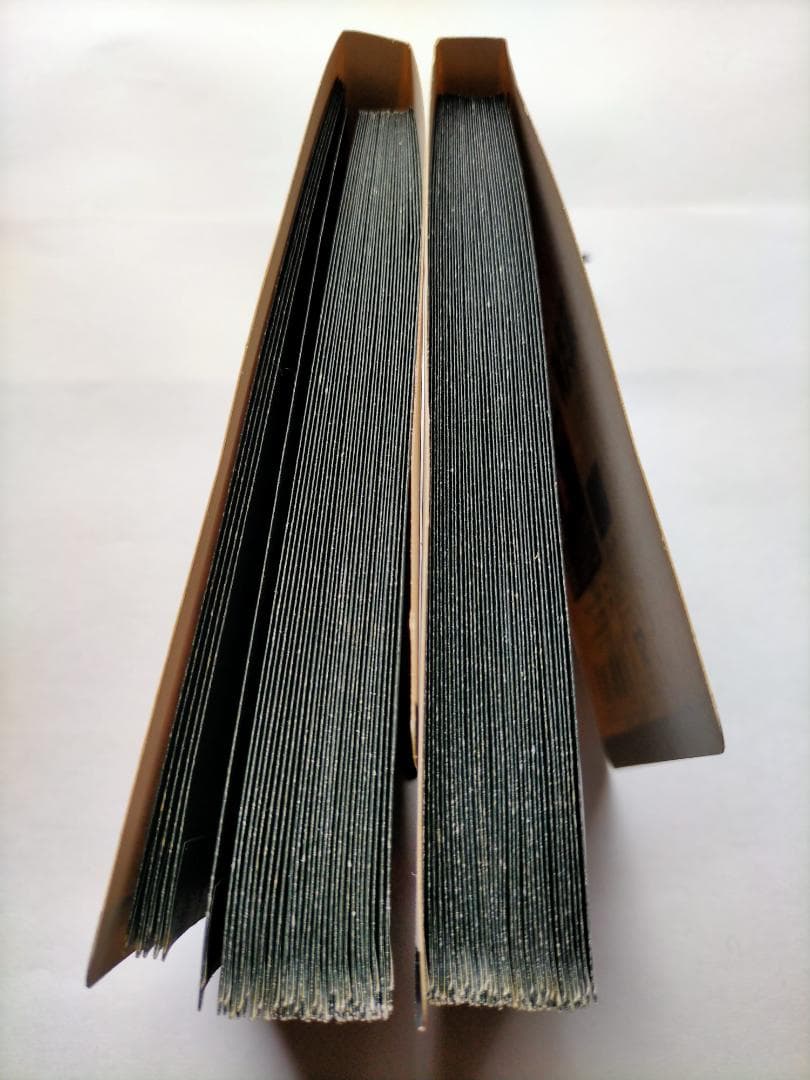 新世紀エヴァンゲリオン P.P.カードコレクションPARTⅡほぼ未使用 新