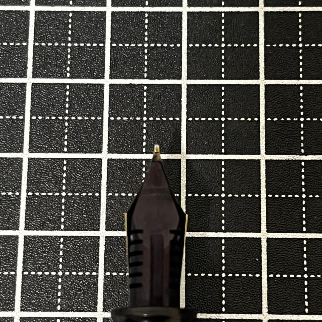 プラチナ 万年筆 70周年 エボナイト チェイス 中字 - メルカリ