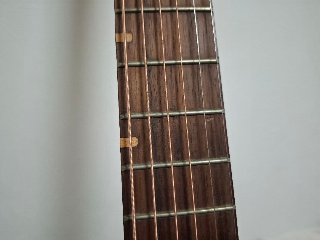 専用）アコースティックギター ROSSO R-5 IS18982909 - メルカリ