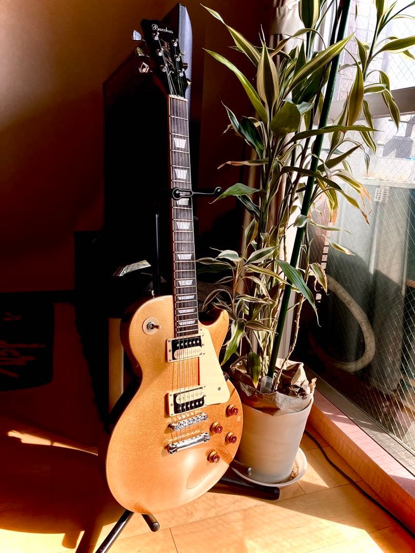 ☆超美品☆Bacchus/バッカス BLP-STD ZB/HB GT - メルカリ