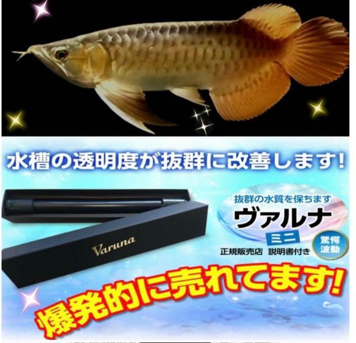 ヴァルナミニ23センチ水槽の透明度が抜群に！有害物質強力抑制！水替え