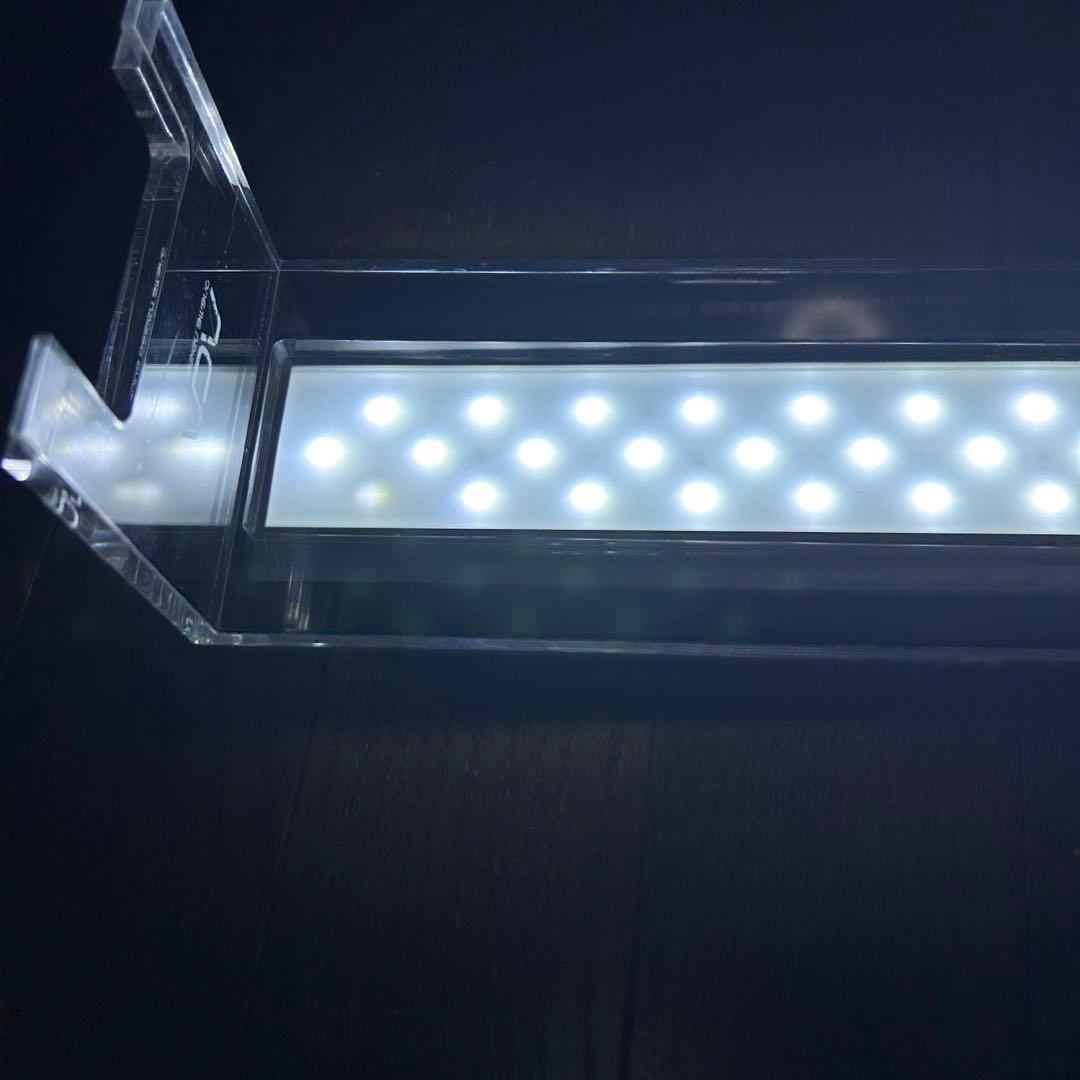 CELL CLEAR ガラス水槽