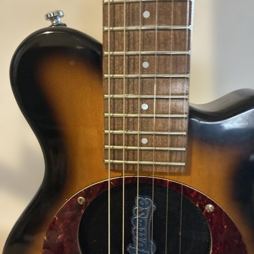 ピグノーズPGG100 サンバースト