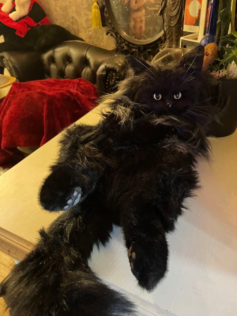 黒猫 ぬいぐるみ 等身大 リュック