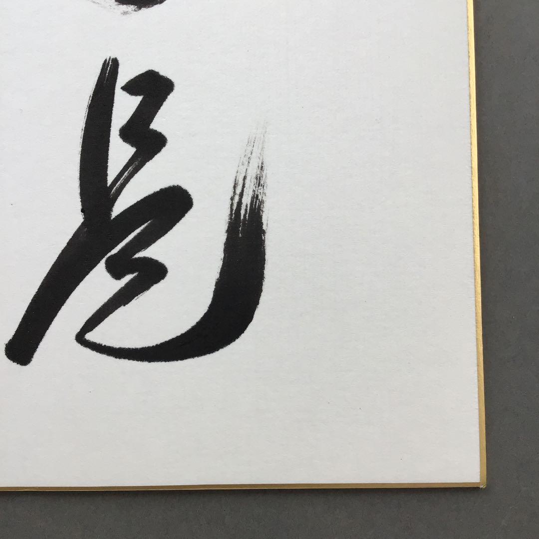 色紙 臨済宗相国寺 記念 松國大龍 畳紙 配送用袋 S1030SSD