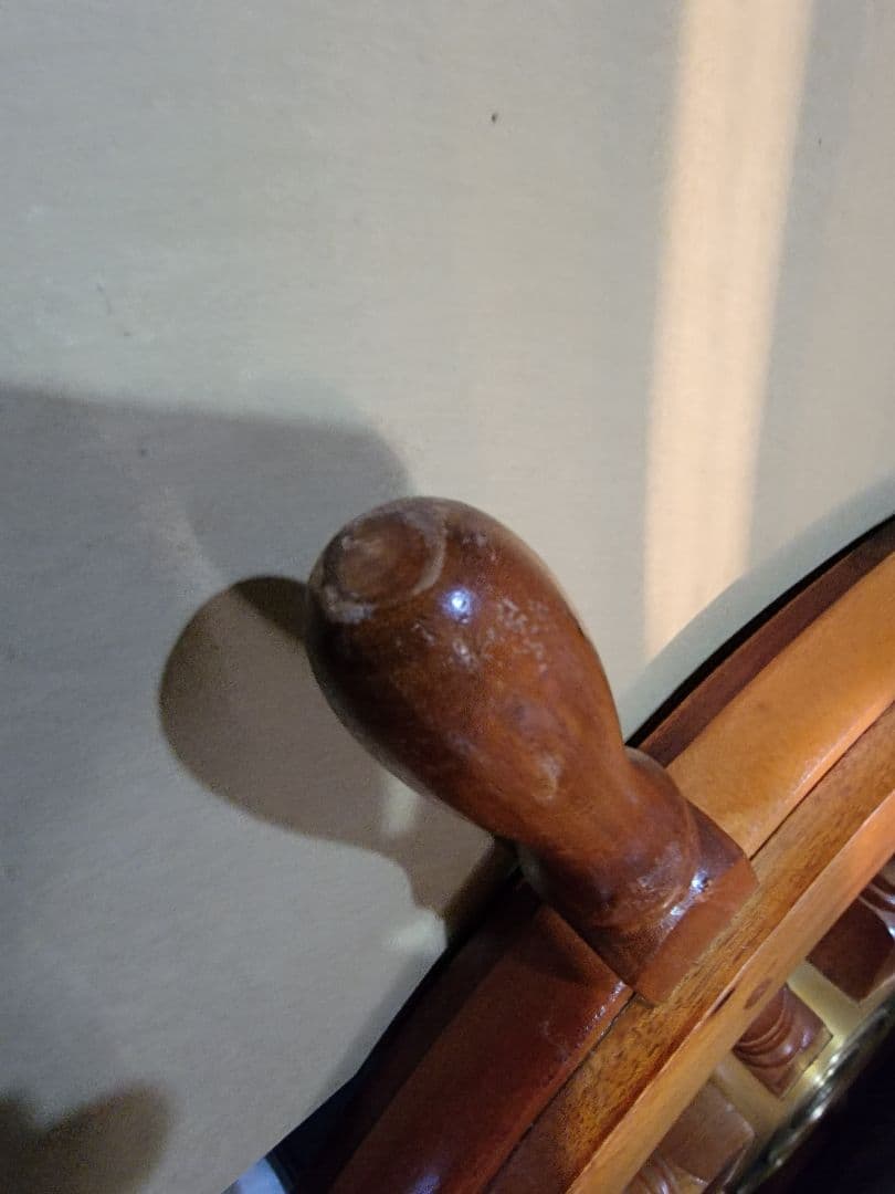 兵庫西部超超希少松の古木アンティーク