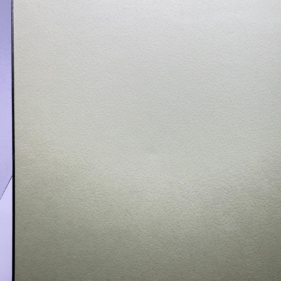 つ出品　※専用様以外購入不可