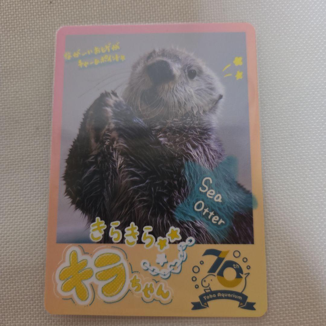 鳥羽水族館 コレクションカード キラちゃん - メルカリ