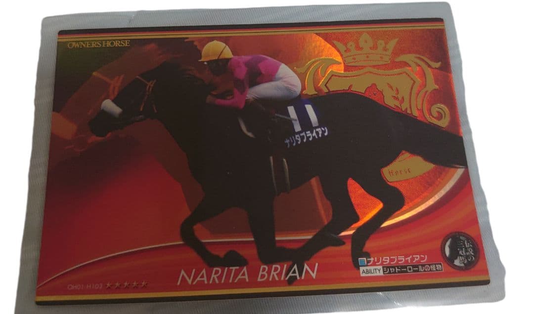 オーナーズホースディープインパクトナリタブライアン