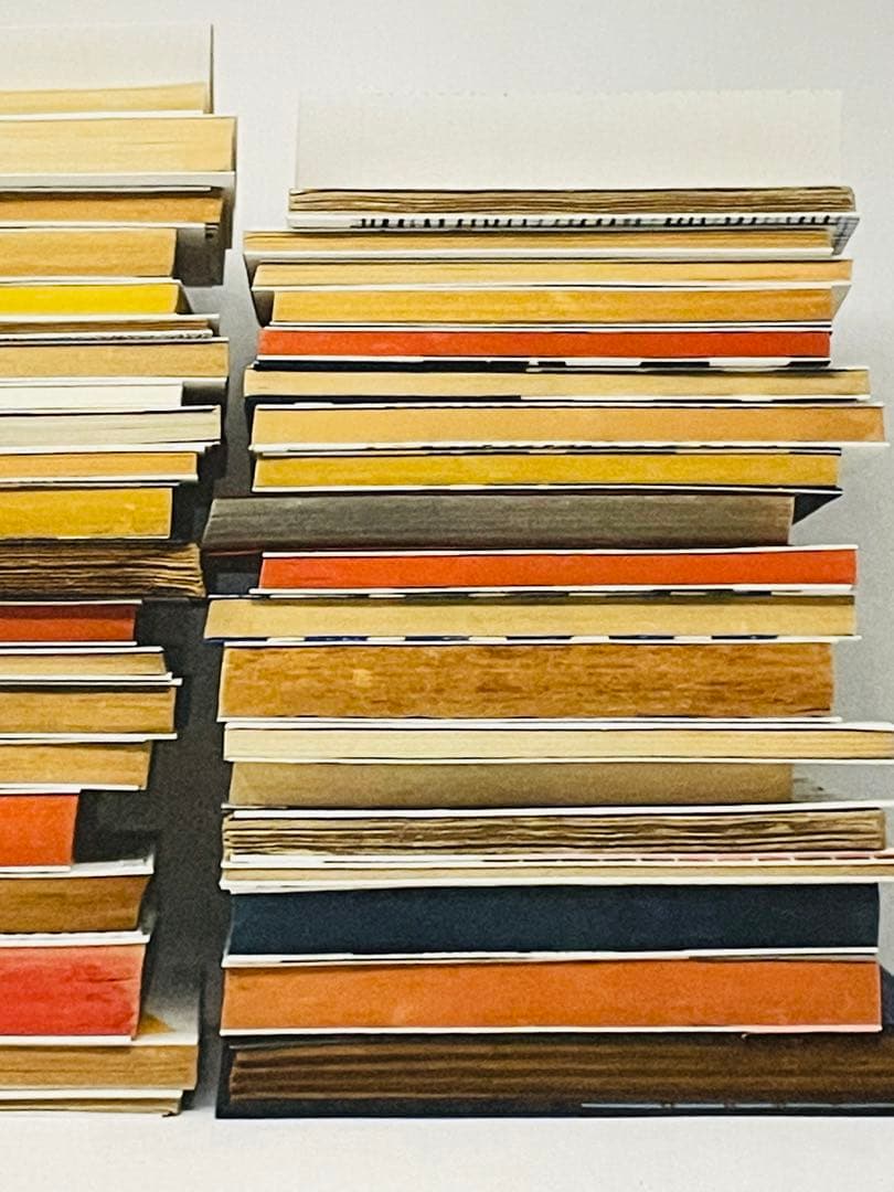 現地完売品 額装付きナイジェルピークNigel Peake 両面希少ポスター