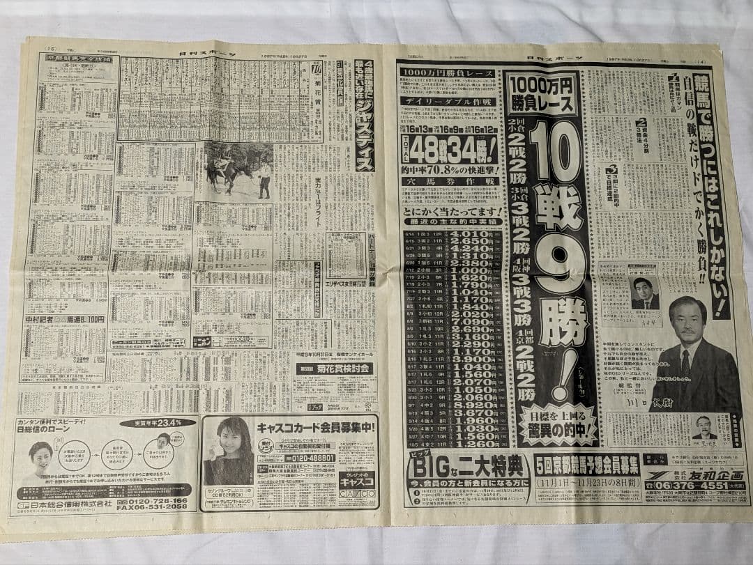 エアグルーヴ 武豊 天皇賞秋 競走馬 写真パネル 額縁入り スポーツ新聞