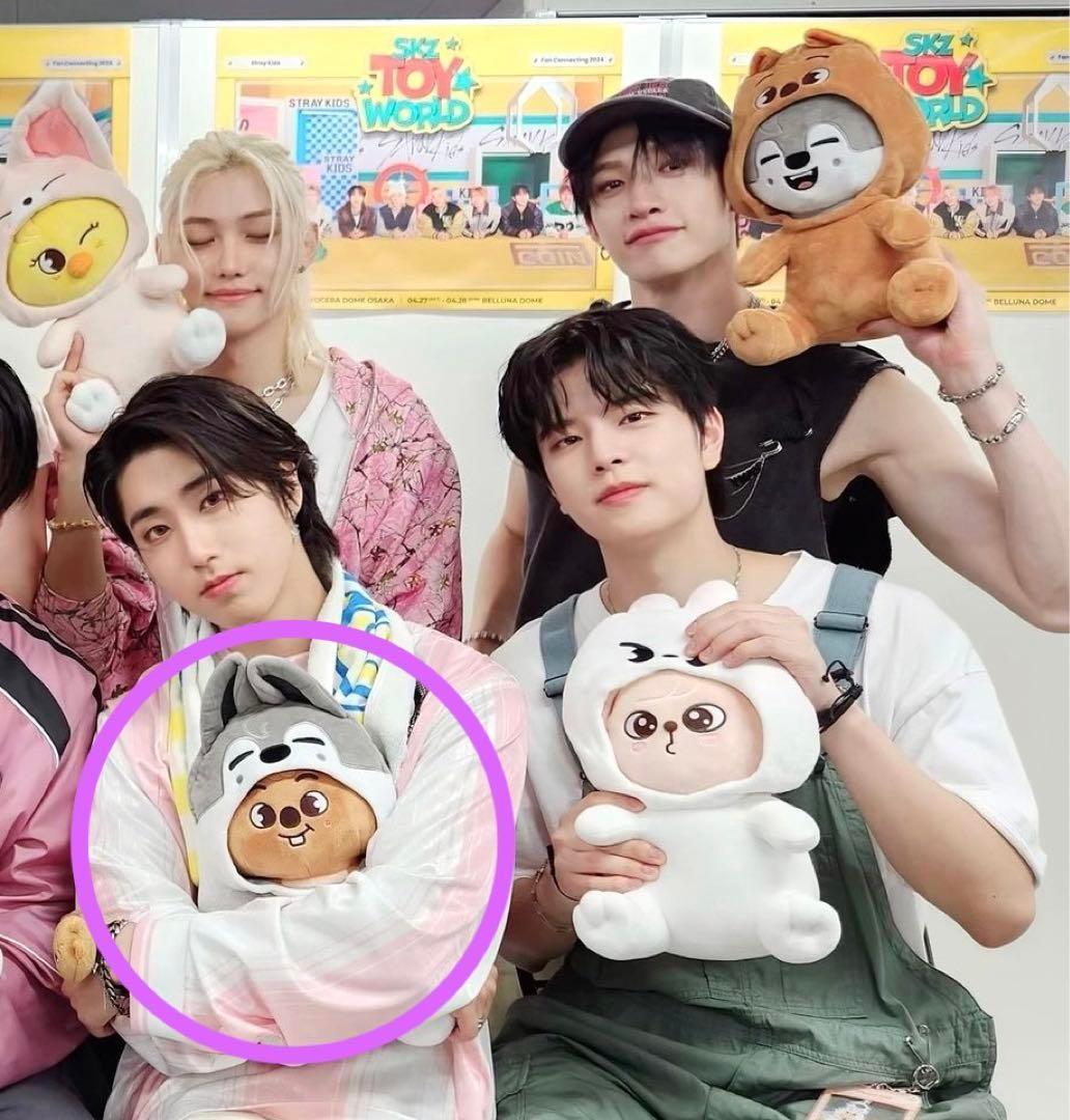 SKZ TOY WORLD トイワールド 抱きぬいぐるみバンチャンウルフチャン